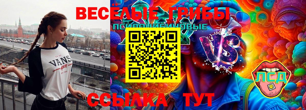 Большой Камень  Галлюциногенные грибы Psilocybine cubensis  Вход с VPN 