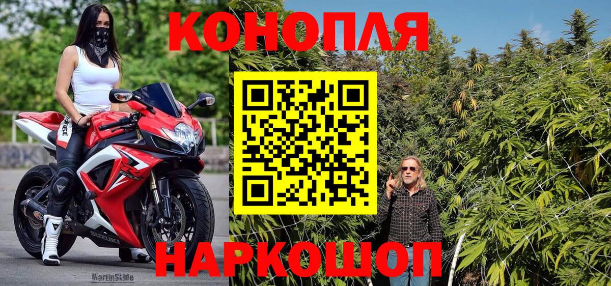 Конопля сатива  Марихуана OG Kush  Каннабис конопля  Большой Камень  Вход с VPN  Каннабис семена 